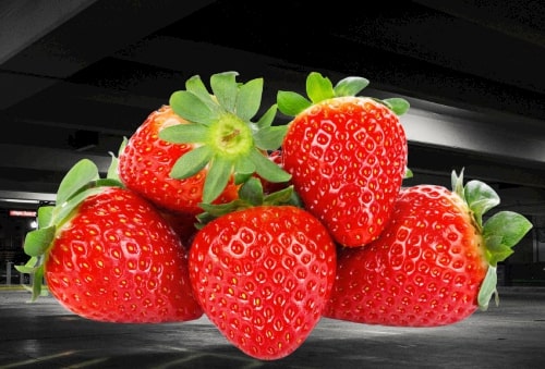 When should I plant strawberries in Southern California